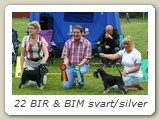 22 BIR & BIM svart/silver