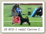 26 BIS-1 valp2 Canine Connection's Las Vegas