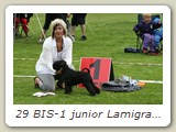 29 BIS-1 junior Lamigras Black Joy Girl