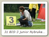 31 BIS-3 junior Nybruket's Zybelde Silver Starlight